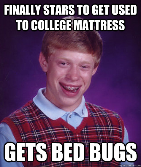 Finally stars to get used to college mattress gets bed bugs  Bad Luck Brian