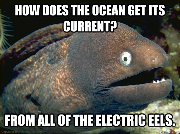 How does the ocean get its current? From all of the electric eels.    Bad Joke Eel