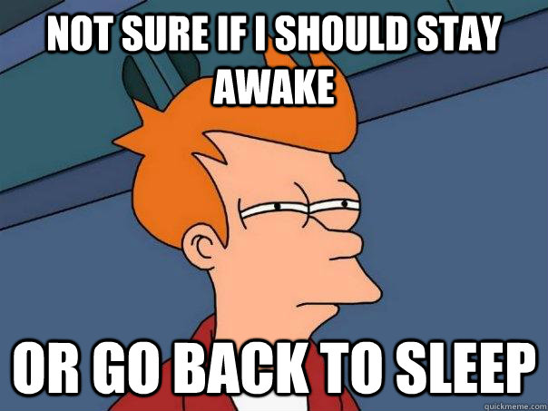 NOT SURE IF I SHOULD STAY AWAKE OR GO BACK TO SLEEP  Futurama Fry