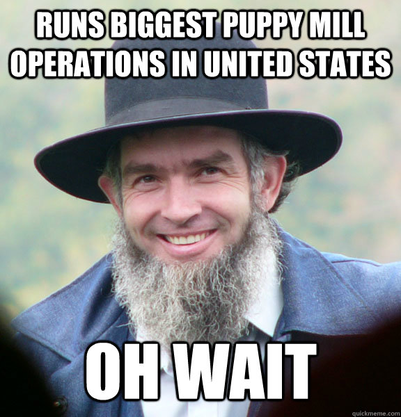 Runs biggest Puppy Mill operations in United States oh wait  Good Guy Amish