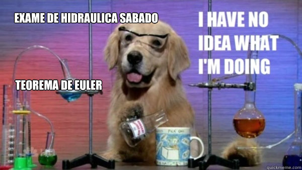 Teorema de Euler Exame de hidraulica sabado   science dog