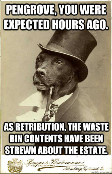 Pengrove, you were expected hours ago. As retribution, the waste bin contents have been strewn about the estate.  Old Money Dog