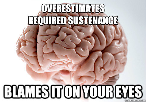 OVERESTIMATES
REQUIRED SUSTENANCE BLAMES IT ON YOUR EYES   Scumbag Brain