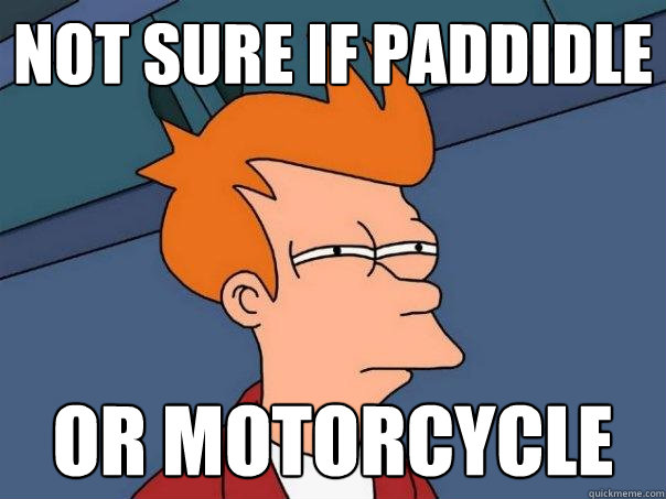 Not sure if paddidle Or motorcycle  Futurama Fry