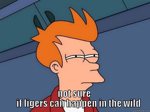  NOT SURE      IF LIGERS CAN HAPPEN IN THE WILD Futurama Fry