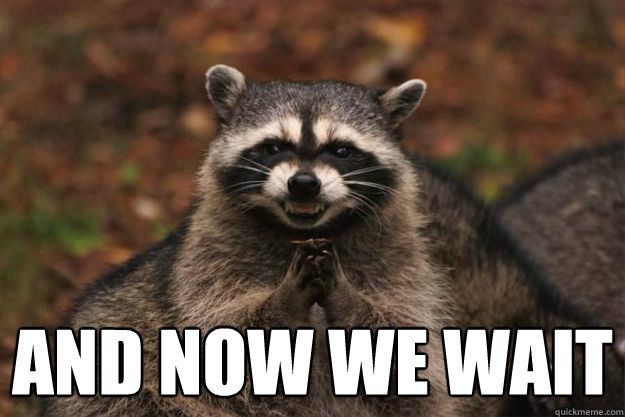  and now we wait
 -  and now we wait
  Evil Plotting Raccoon