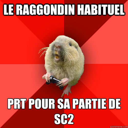 Le raggondin habituel prêt pour sa partie de sc2  Gaming Gopher