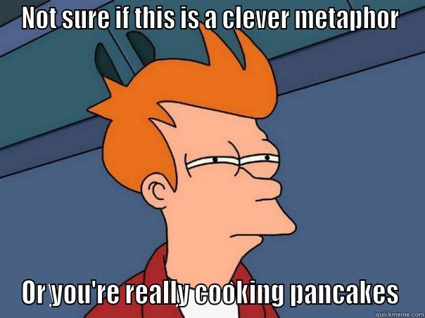 pancakes as metaphor - NOT SURE IF THIS IS A CLEVER METAPHOR OR YOU'RE REALLY COOKING PANCAKES Futurama Fry