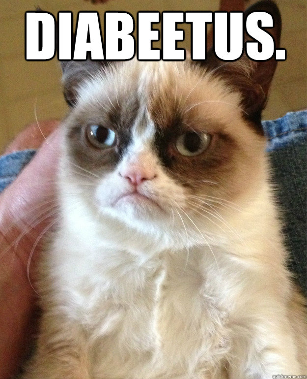 DIABEETUS.  - DIABEETUS.   Grumpy Cat