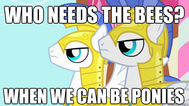 who needs the bees? when we can be ponies  MLP FIM guards