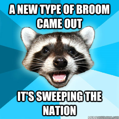 A new type of broom came out it's sweeping the nation  