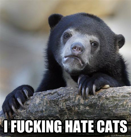  i fucking hate cats  Confession Bear