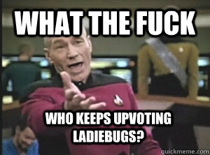 What the fuck Who keeps upvoting ladiebugs?  Annoyed Picard