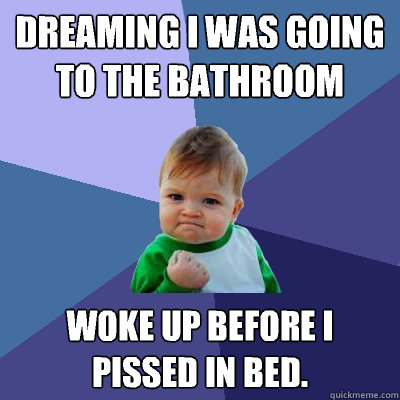 dreaming i was going to the bathroom woke up before i pissed in bed.  Success Kid