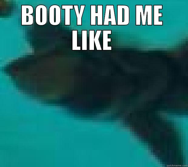 BOOTY HAD ME LIKE  Misc