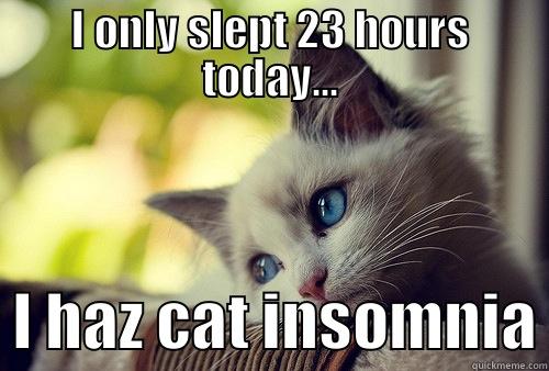 Cat Insomnia - I ONLY SLEPT 23 HOURS TODAY...   I HAZ CAT INSOMNIA First World Problems Cat