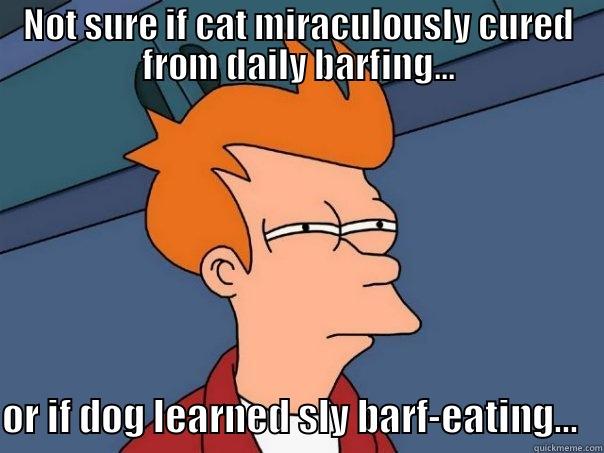 NOT SURE IF CAT MIRACULOUSLY CURED FROM DAILY BARFING... OR IF DOG LEARNED SLY BARF-EATING...   Futurama Fry