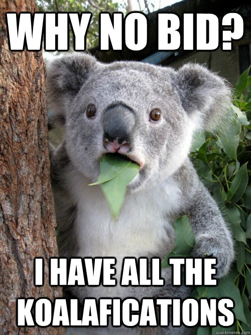 why no bid? i have all the koalafications  Surprised Koala