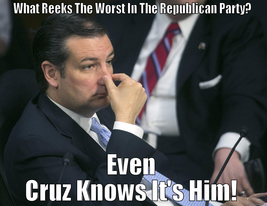 WHAT REEKS THE WORST IN THE REPUBLICAN PARTY? EVEN CRUZ KNOWS IT'S HIM! Misc