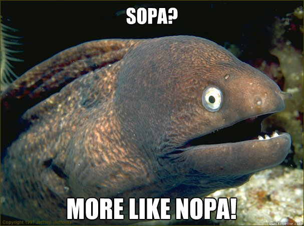 SOPA? More like NOPa!  Bad Joke Eel