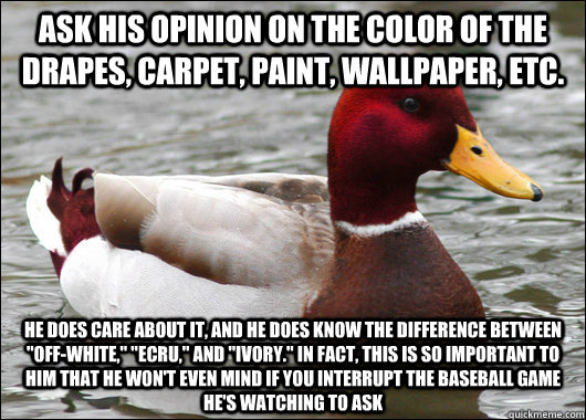 ask his opinion on the color of the drapes, carpet, paint, wallpaper, etc. he does care about it, and he does know the difference between 