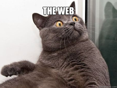 the web    conspiracy cat