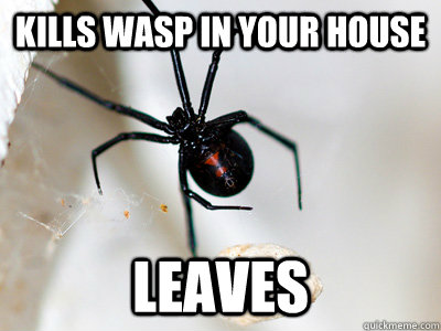 Kills wasp in your house leaves  good girl black widow