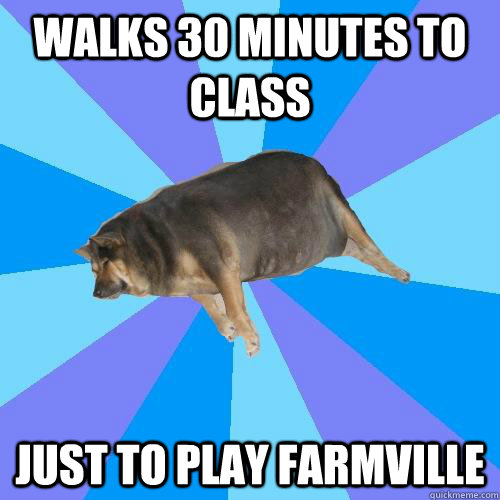 walks 30 minutes to class just to play farmville  Lazy college student