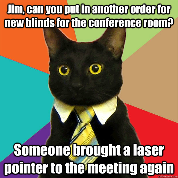 Jim, can you put in another order for new blinds for the conference room? Someone brought a laser pointer to the meeting again - Jim, can you put in another order for new blinds for the conference room? Someone brought a laser pointer to the meeting again  Business Cat