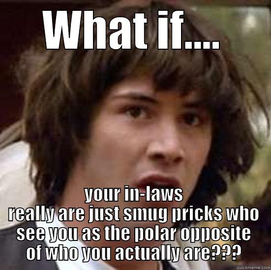 There really are two sides to every story - WHAT IF.... YOUR IN-LAWS REALLY ARE JUST SMUG PRICKS WHO SEE YOU AS THE POLAR OPPOSITE OF WHO YOU ACTUALLY ARE??? conspiracy keanu