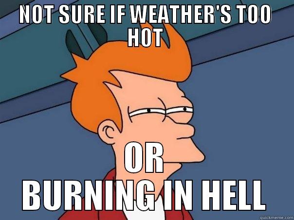 NOT SURE IF WEATHER'S TOO HOT OR BURNING IN HELL Futurama Fry