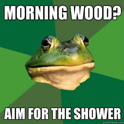 Morning Wood? aim for the shower - Morning Wood? aim for the shower  Foul Bachelor Frog