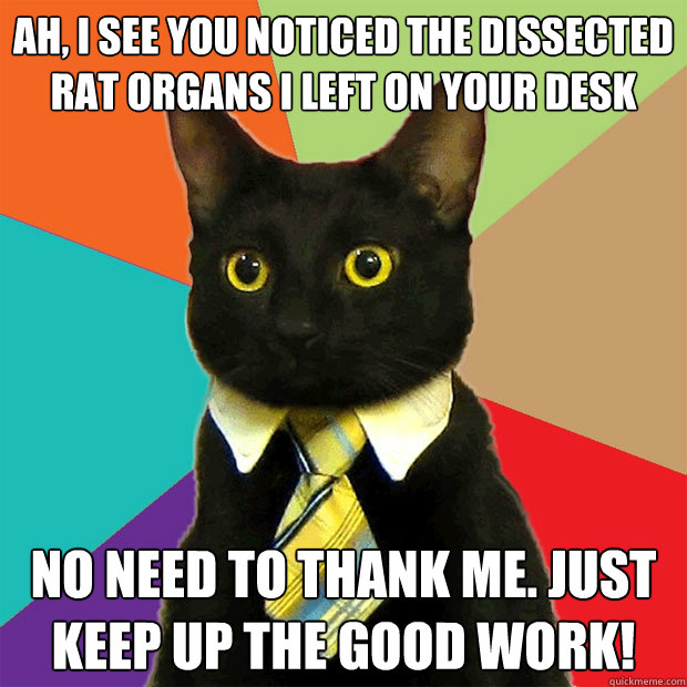 Ah, I see you noticed the dissected rat organs I left on your desk No need to thank me. Just keep up the good work!  Business Cat