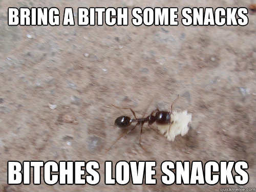 BRING A BITCH SOME SNACKS BITCHES LOVE SNACKS - BRING A BITCH SOME SNACKS BITCHES LOVE SNACKS  SNACKS