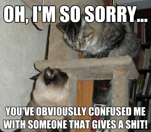 Oh, I'm so sorry... You've obviouslly confused me with someone that gives a shit!  Battle Cats