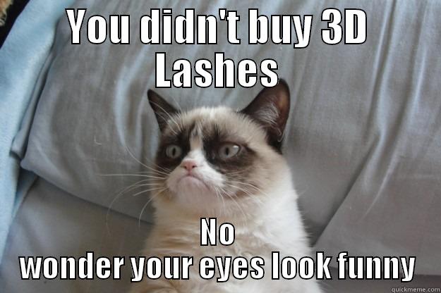 3d lashes - YOU DIDN'T BUY 3D LASHES NO WONDER YOUR EYES LOOK FUNNY Grumpy Cat