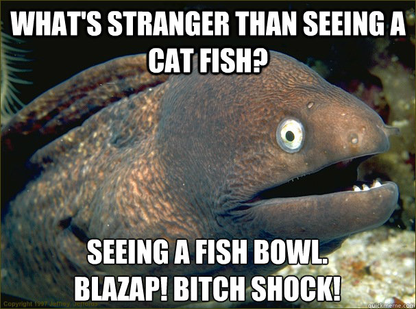 What's stranger than seeing a cat fish? Seeing a fish bowl.
BLAZAP! BITCH SHOCK!  Bad Joke Eel