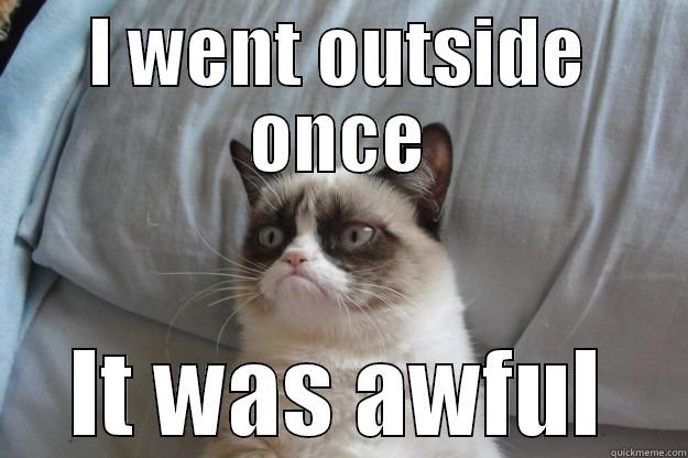 I WENT OUTSIDE ONCE IT WAS AWFUL Grumpy Cat