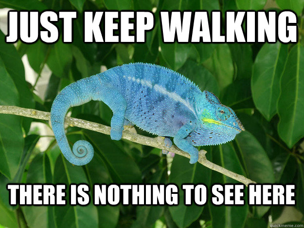 Just keep walking There is nothing to see here  Colorblind Chameleon