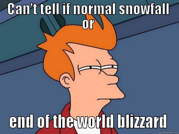 CAN'T TELL IF NORMAL SNOWFALL OR END OF THE WORLD BLIZZARD Futurama Fry