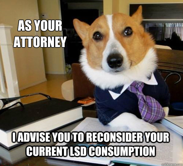 As your attorney  I advise you to reconsider your current LSD consumption  Lawyer Dog