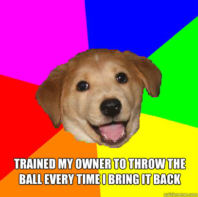  trained my owner to throw the ball every time i bring it back  Advice Dog