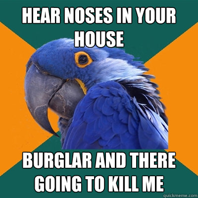 hear noses in your house  burglar and there going to kill me  Paranoid Parrot