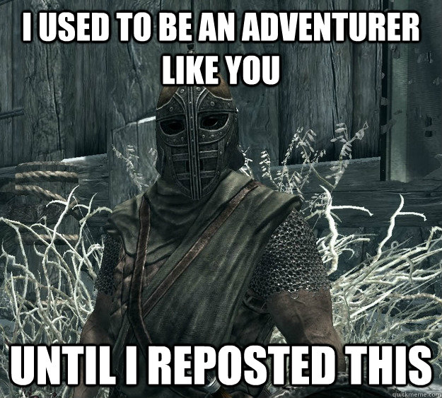 I used to be an adventurer like you until i reposted this  Skyrim Guard