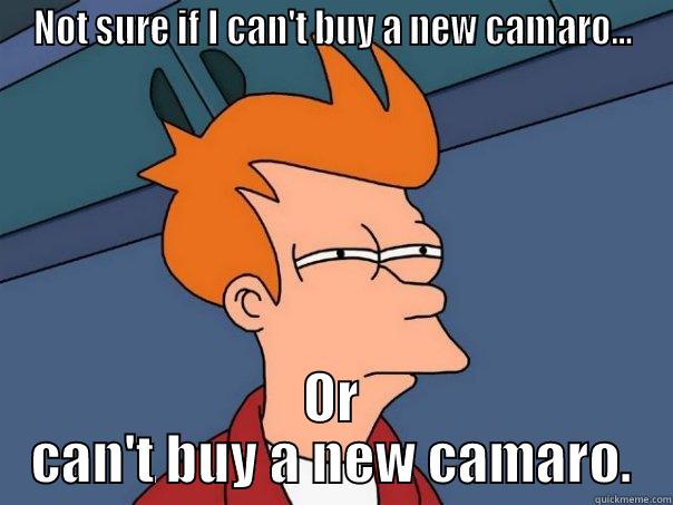 NOT SURE IF I CAN'T BUY A NEW CAMARO... OR CAN'T BUY A NEW CAMARO. Futurama Fry