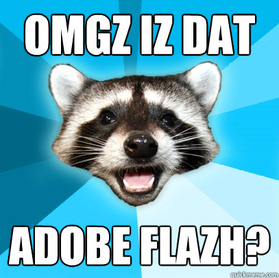 OMGZ IZ DAT ADOBE FLAZH?  Lame Pun Coon