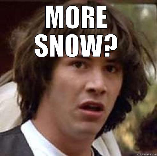 MORE SNOW?  conspiracy keanu