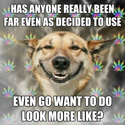 Has anyone really been far even as decided to use  even go want to do look more like?  Stoner Dog