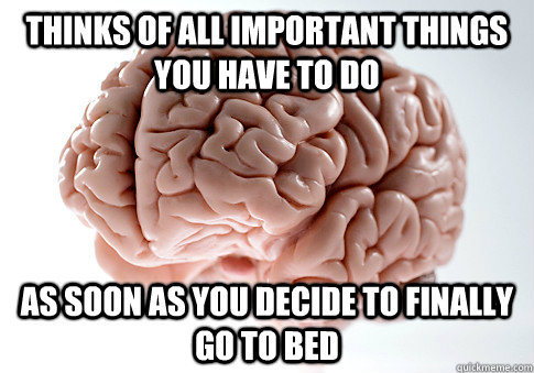 thinks of all important things you have to do as soon as you decide to finally go to bed  Scumbag Brain