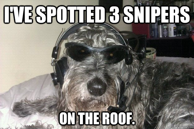 I've spotted 3 snipers On the roof. - I've spotted 3 snipers On the roof.  Special Forces Dog